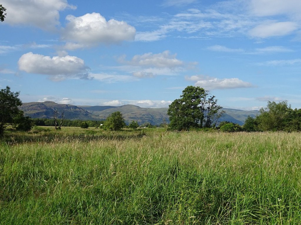 A grass field which was once the site of the famous Bannockburn battle in 1314. The mountains of Sterlingshire in the background.