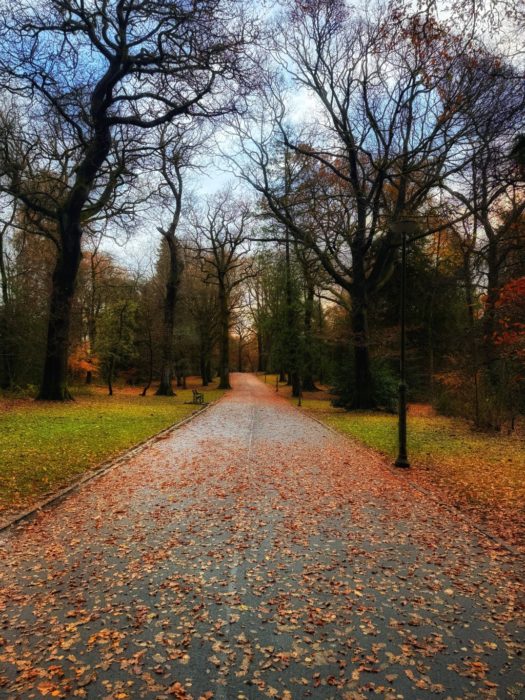 Autumn leaves have filled the walking path in a park in the village of Balloch.
